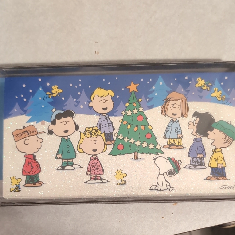 Hallmark Peanuts Holiday Card Set with Blue and Green Design